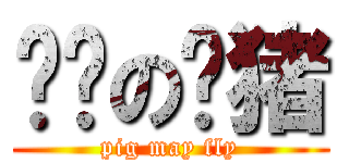纯洁の脑猪 (pig may fly)