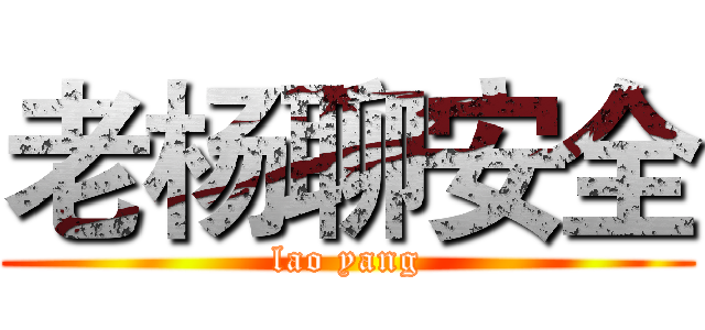 老杨聊安全 (lao yang)
