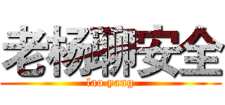 老杨聊安全 (lao yang)