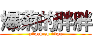 爆菊的胖胖 (attack on titan)
