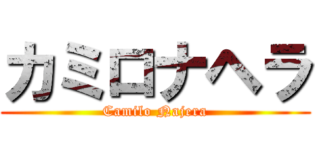カミロナヘラ (Camilo Najera)
