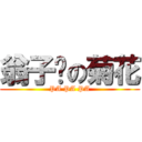 翁子诺の菊花 (PA PA PA)