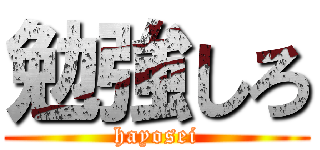 勉強しろ (hayosei)