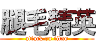 腿毛精英 (attack on titan)