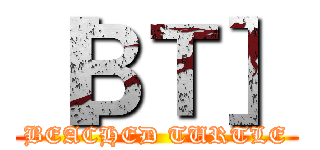 ［ＢＴ］ (BEACHED TURTLE)