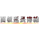 面 板 延 長 排 線 ()