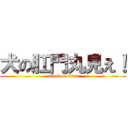 犬の肛門丸見え！ (attack on titan)