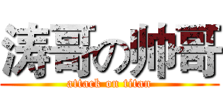 涛哥の帅哥 (attack on titan)