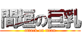 間垣の巨乳 (attack on titan)