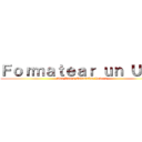 Ｆｏｒｍａｔｅａｒ ｕｎ ＵＳＢ (Ana Laura Estanislao Lovera)