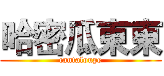 哈密瓜東東 (cantaloupe)