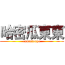 哈密瓜東東 (cantaloupe)