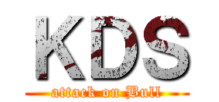 ＫＤＳ (attack on Bull)