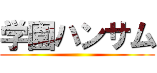 学園ハンサム ()