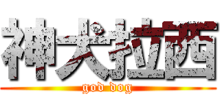 神犬拉西 (god dog)