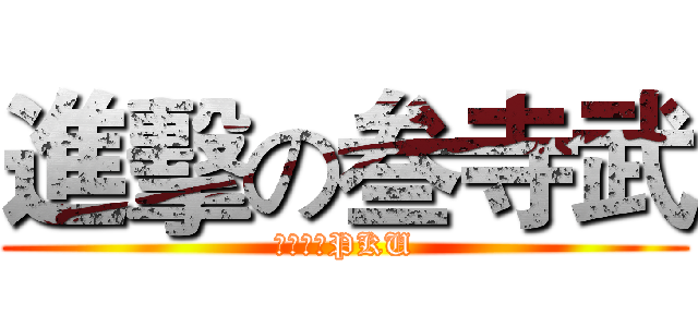 進擊の叁寺武 (无限华丽PKU)