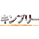 キンブリー (attack on kimblee)