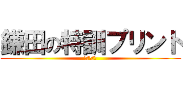 鎌田の特訓プリント (～算数編～)