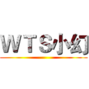 ＷＴＳ小幻 ()