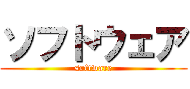 ソフトウェア (software)