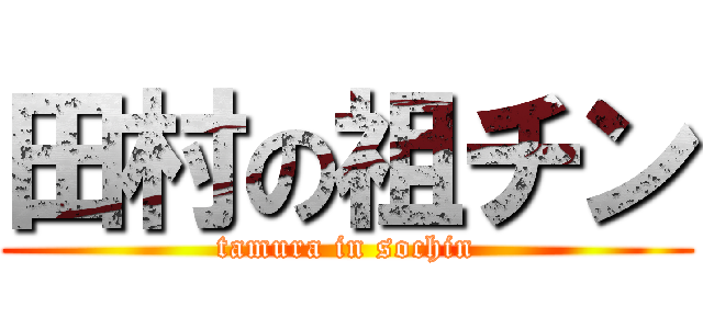 田村の祖チン (tamura in sochin)