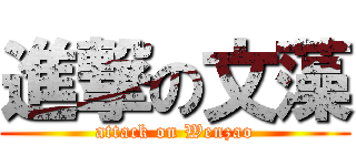 進撃の文藻 (attack on Wenzao)