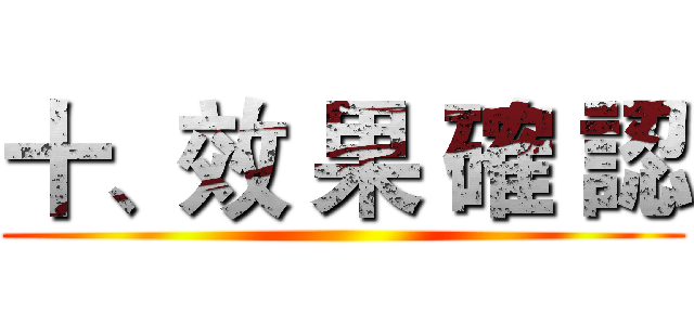 十、效 果 確 認 ()