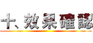 十、效 果 確 認 ()