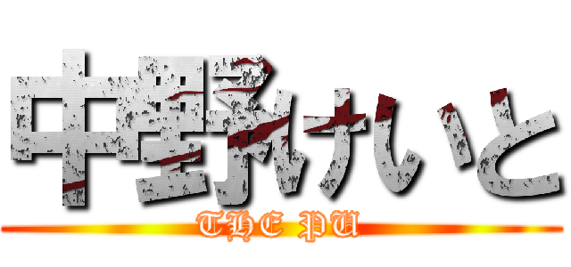 中野けいと (THE PU)