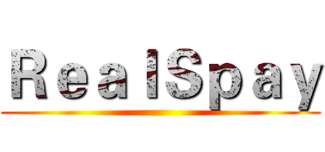 ＲｅａｌＳｐａｙ ()