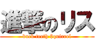進撃のリス (buck teeth $quirrel)