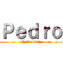 Ｐｅｄｒｏ (E-V 1207)