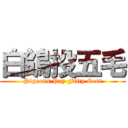 白鴿投五毛 (Pigeons Pay Fifty Cent)