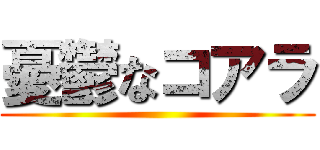 憂鬱なコアラ ()