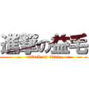 進撃の益毛 (attack on titan)