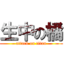 生中の橘 (attack on titan)