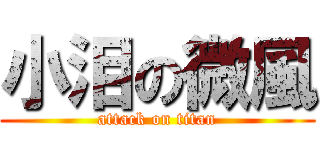 小泪の微風 (attack on titan)