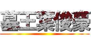 墓王葉俊豪 ()