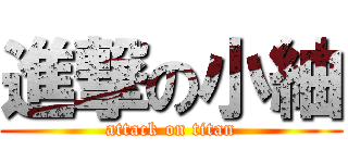 進撃の小紬 (attack on titan)