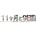 １１ヶ月と９日目 ()