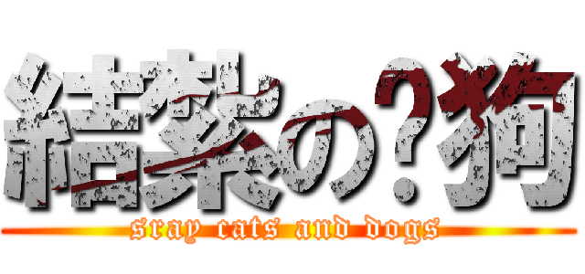結紮の貓狗 (sray cats and dogs)