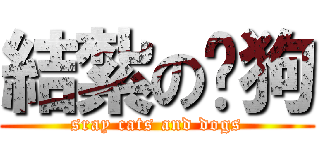 結紮の貓狗 (sray cats and dogs)