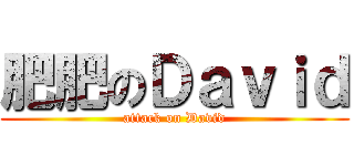 肥肥のＤａｖｉｄ (attack on David)