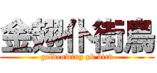 金翅仆街鳥 (goldenwing pk bird)