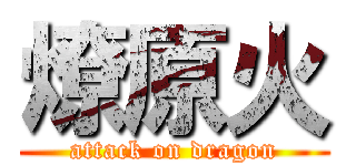燎原火 (attack on dragon)