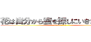 花は自分から蜜を探しにいきますか！？ (weiwei0270)