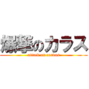 爆撃のカラス (attack on corvus)