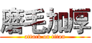 磨毛加厚 (attack on titan)