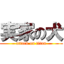 実家の犬 (attack on titan)