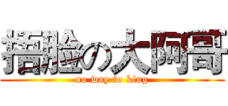 捂脸の大阿哥 (no way to king)